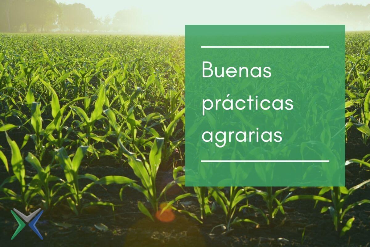 buenas practicas agricola